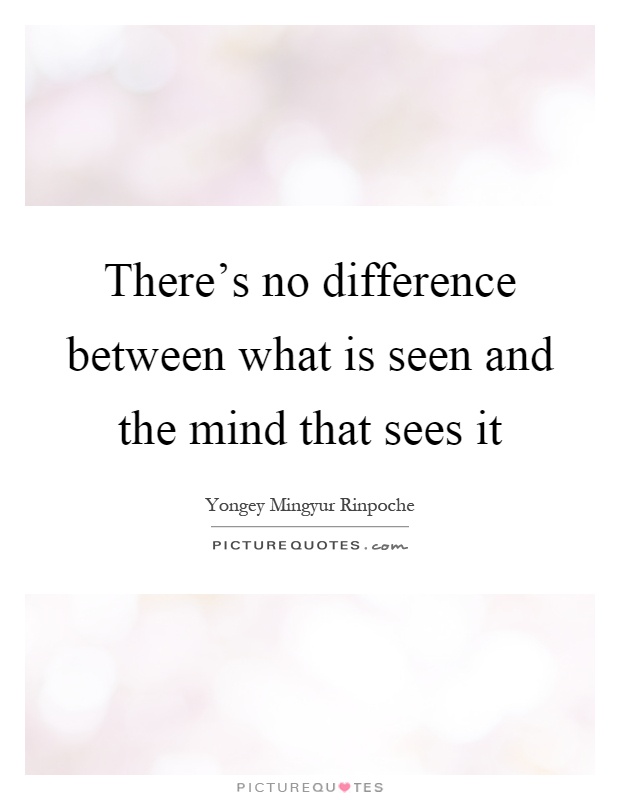 There's no difference between what is seen and the mind that sees it Picture Quote #1