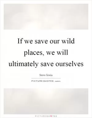 If we save our wild places, we will ultimately save ourselves Picture Quote #1