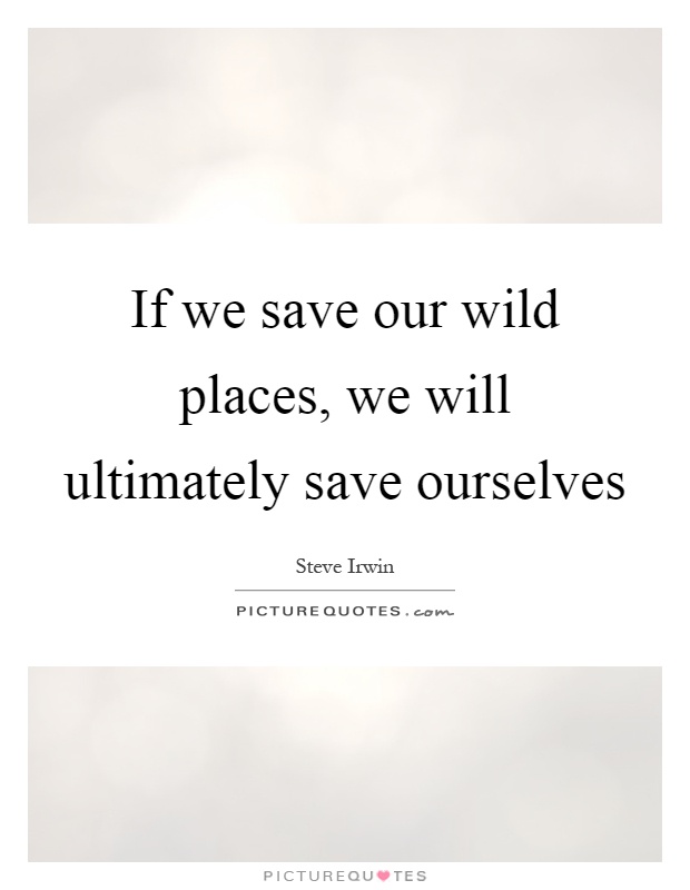 If we save our wild places, we will ultimately save ourselves Picture Quote #1