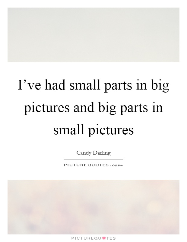 I've had small parts in big pictures and big parts in small pictures Picture Quote #1