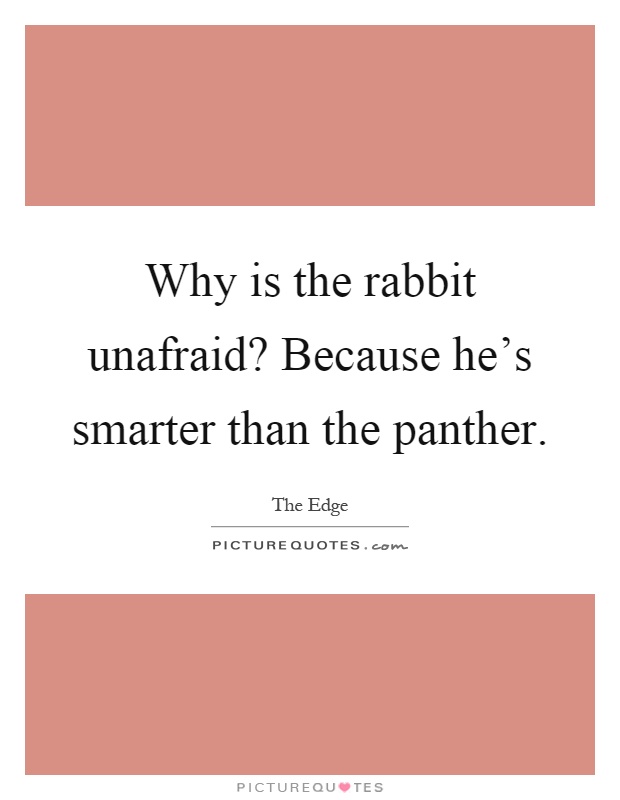 Why is the rabbit unafraid? Because he's smarter than the panther Picture Quote #1