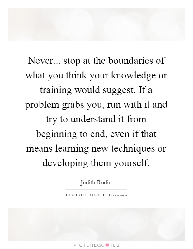 Never... stop at the boundaries of what you think your knowledge or training would suggest. If a problem grabs you, run with it and try to understand it from beginning to end, even if that means learning new techniques or developing them yourself Picture Quote #1
