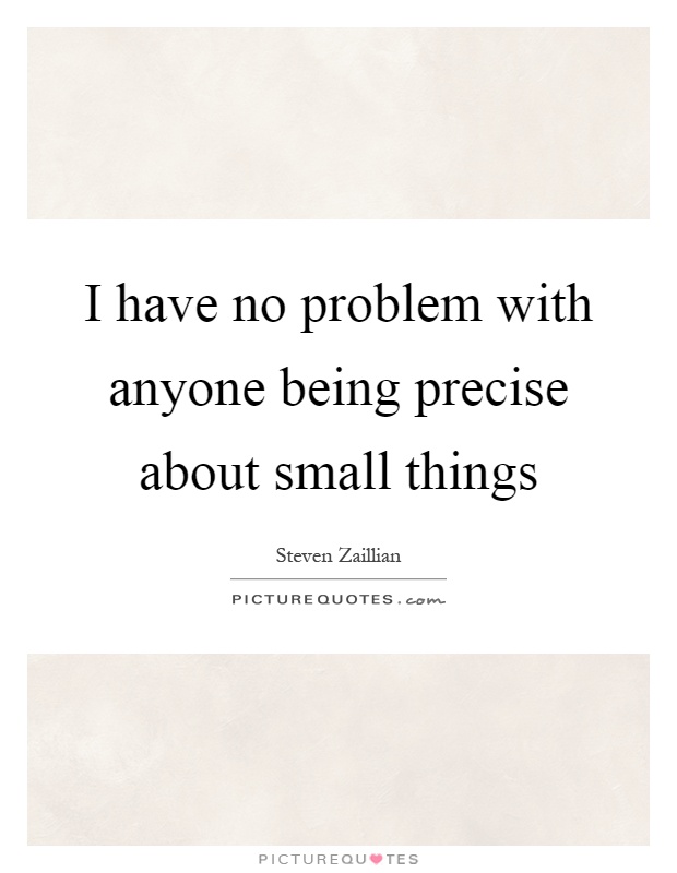 I have no problem with anyone being precise about small things Picture Quote #1