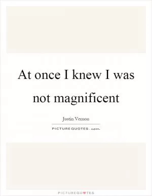 At once I knew I was not magnificent Picture Quote #1