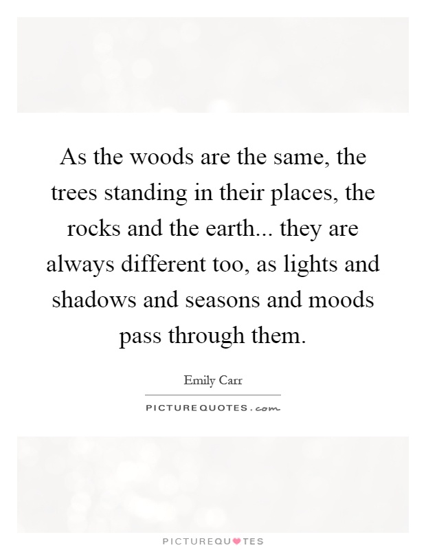 As the woods are the same, the trees standing in their places, the rocks and the earth... they are always different too, as lights and shadows and seasons and moods pass through them Picture Quote #1