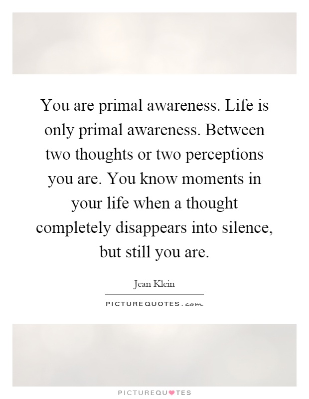 You are primal awareness. Life is only primal awareness. Between two thoughts or two perceptions you are. You know moments in your life when a thought completely disappears into silence, but still you are Picture Quote #1