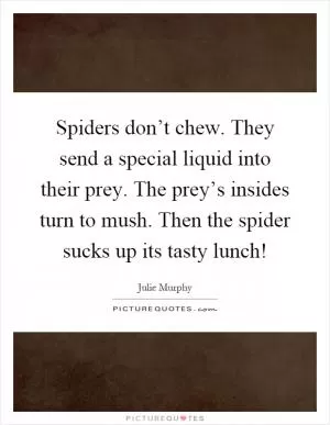 Spiders don’t chew. They send a special liquid into their prey. The prey’s insides turn to mush. Then the spider sucks up its tasty lunch! Picture Quote #1
