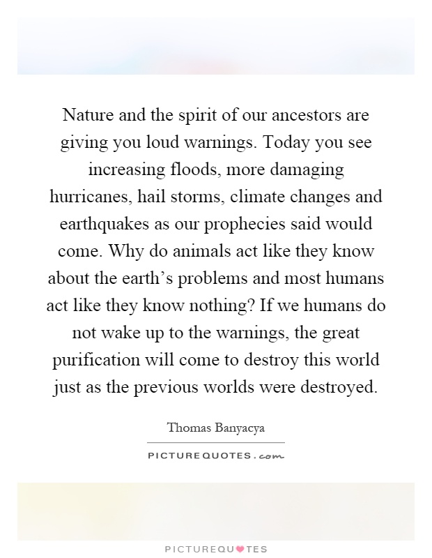 Nature and the spirit of our ancestors are giving you loud warnings. Today you see increasing floods, more damaging hurricanes, hail storms, climate changes and earthquakes as our prophecies said would come. Why do animals act like they know about the earth's problems and most humans act like they know nothing? If we humans do not wake up to the warnings, the great purification will come to destroy this world just as the previous worlds were destroyed Picture Quote #1
