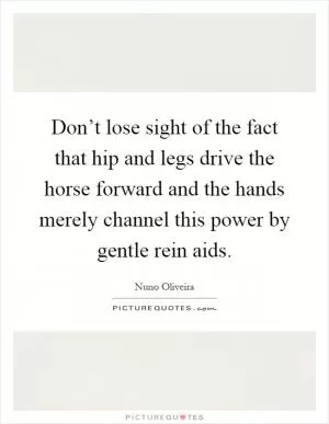 Don’t lose sight of the fact that hip and legs drive the horse forward and the hands merely channel this power by gentle rein aids Picture Quote #1