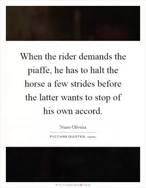 When the rider demands the piaffe, he has to halt the horse a few strides before the latter wants to stop of his own accord Picture Quote #1
