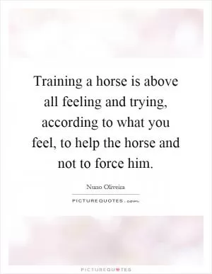 Training a horse is above all feeling and trying, according to what you feel, to help the horse and not to force him Picture Quote #1