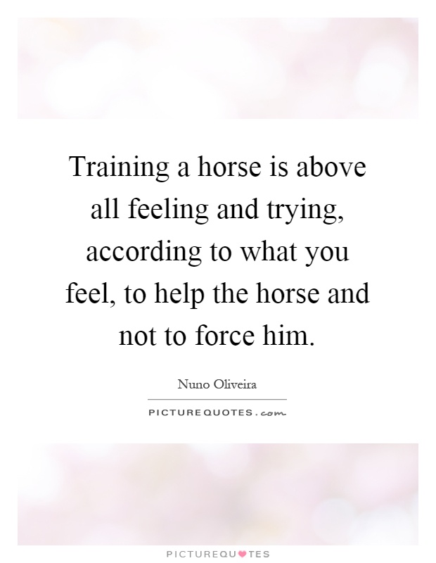 Training a horse is above all feeling and trying, according to what you feel, to help the horse and not to force him Picture Quote #1
