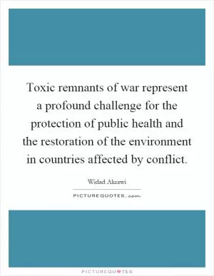 Toxic remnants of war represent a profound challenge for the protection of public health and the restoration of the environment in countries affected by conflict Picture Quote #1