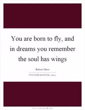 You are born to fly, and in dreams you remember the soul has wings Picture Quote #1