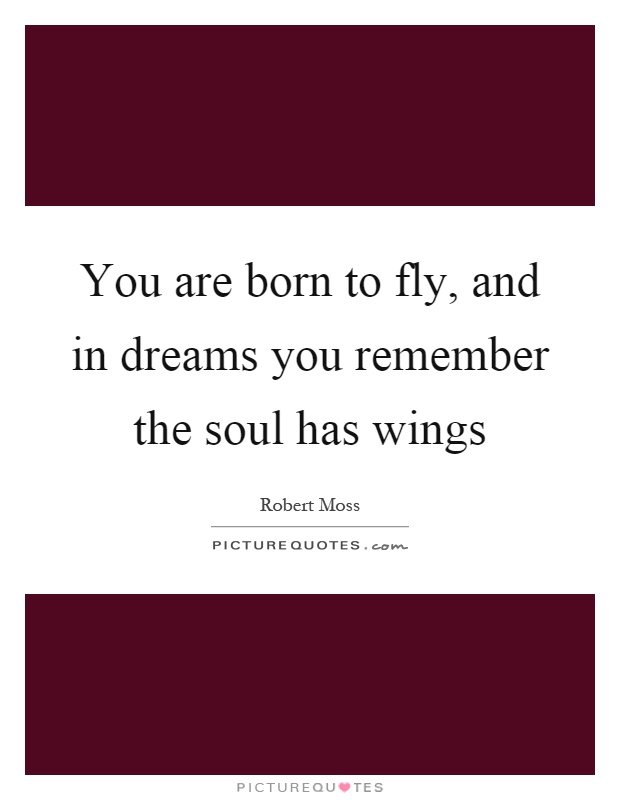 You are born to fly, and in dreams you remember the soul has wings Picture Quote #1