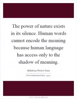 The power of nature exists in its silence. Human words cannot encode the meaning because human language has access only to the shadow of meaning Picture Quote #1