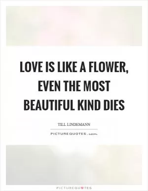 Love is like a flower, even the most beautiful kind dies Picture Quote #1