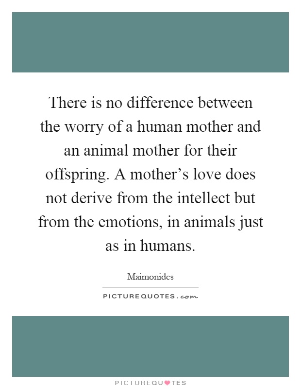 There is no difference between the worry of a human mother and an animal mother for their offspring. A mother's love does not derive from the intellect but from the emotions, in animals just as in humans Picture Quote #1