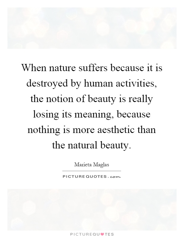 When nature suffers because it is destroyed by human activities, the notion of beauty is really losing its meaning, because nothing is more aesthetic than the natural beauty Picture Quote #1
