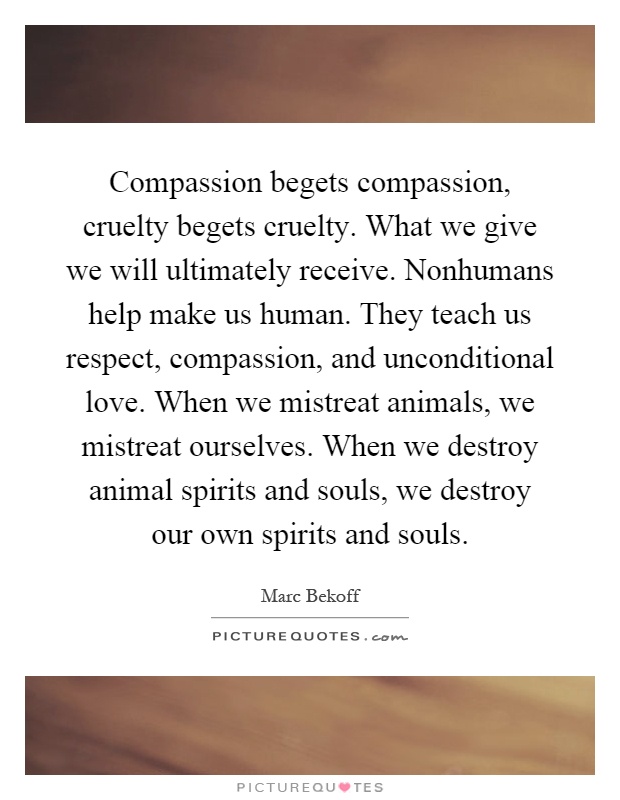 Compassion begets compassion, cruelty begets cruelty. What we give we will ultimately receive. Nonhumans help make us human. They teach us respect, compassion, and unconditional love. When we mistreat animals, we mistreat ourselves. When we destroy animal spirits and souls, we destroy our own spirits and souls Picture Quote #1