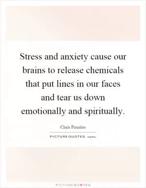 Stress and anxiety cause our brains to release chemicals that put lines in our faces and tear us down emotionally and spiritually Picture Quote #1