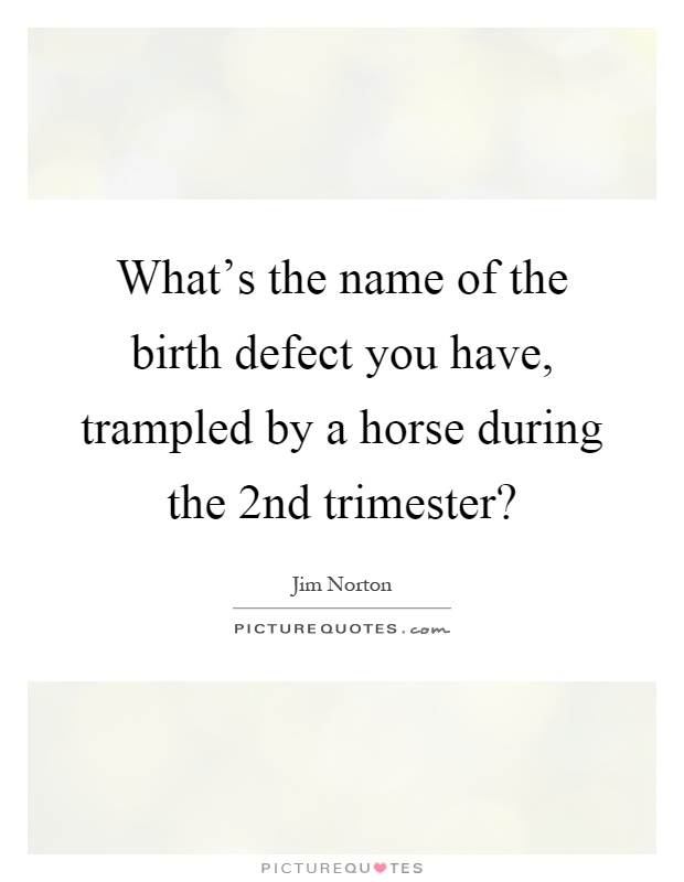 What's the name of the birth defect you have, trampled by a horse during the 2nd trimester? Picture Quote #1