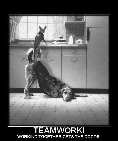 Teamwork! Working together gets the goods! Picture Quote #1