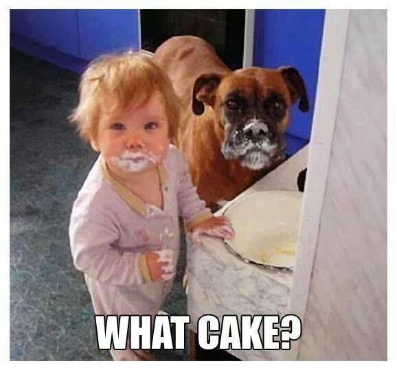 What cake? Picture Quote #1