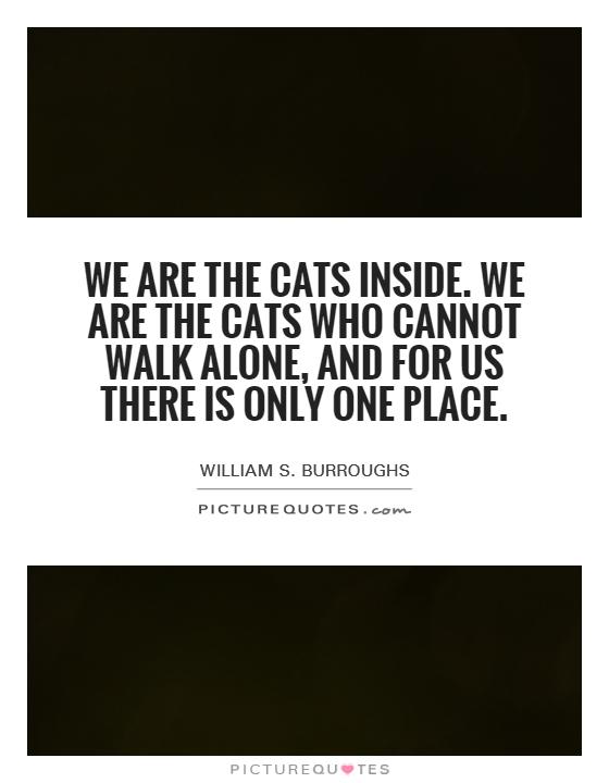 We are the cats inside. We are the cats who cannot walk alone, and for us there is only one place Picture Quote #1
