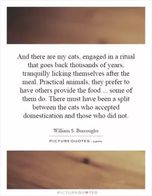 And there are my cats, engaged in a ritual that goes back thousands of years, tranquilly licking themselves after the meal. Practical animals, they prefer to have others provide the food... some of them do. There must have been a split between the cats who accepted domestication and those who did not Picture Quote #1
