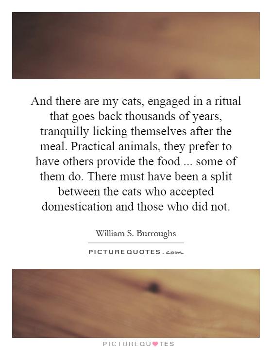 And there are my cats, engaged in a ritual that goes back thousands of years, tranquilly licking themselves after the meal. Practical animals, they prefer to have others provide the food... some of them do. There must have been a split between the cats who accepted domestication and those who did not Picture Quote #1