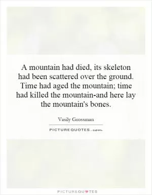 A mountain had died, its skeleton had been scattered over the ground. Time had aged the mountain; time had killed the mountain-and here lay the mountain's bones Picture Quote #1