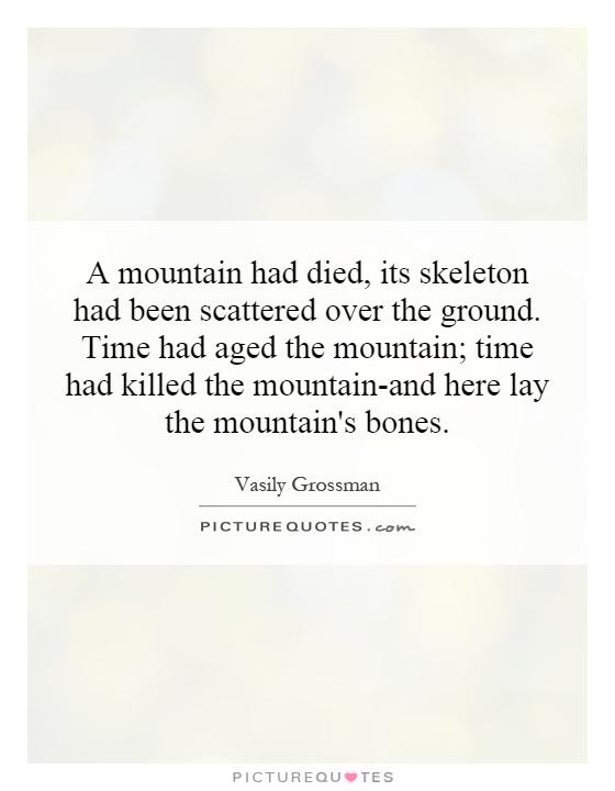 A mountain had died, its skeleton had been scattered over the ground. Time had aged the mountain; time had killed the mountain-and here lay the mountain's bones Picture Quote #1