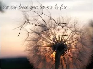 Cut me loose and let me be free Picture Quote #1