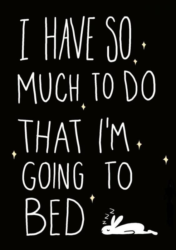 I have so much to do that I'm going to bed Picture Quote #1
