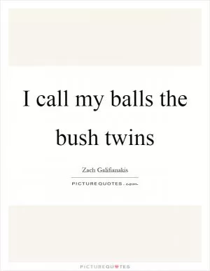 I call my balls the bush twins Picture Quote #1