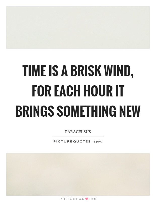 Time is a brisk wind, for each hour it brings something new Picture Quote #1
