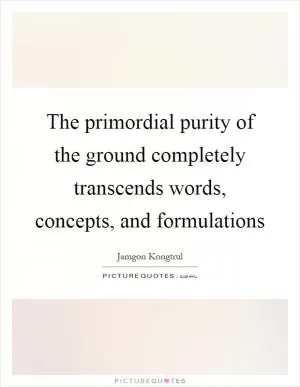 The primordial purity of the ground completely transcends words, concepts, and formulations Picture Quote #1