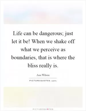Life can be dangerous; just let it be! When we shake off what we perceive as boundaries, that is where the bliss really is Picture Quote #1