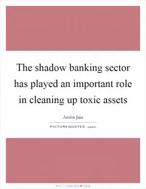The shadow banking sector has played an important role in cleaning up toxic assets Picture Quote #1