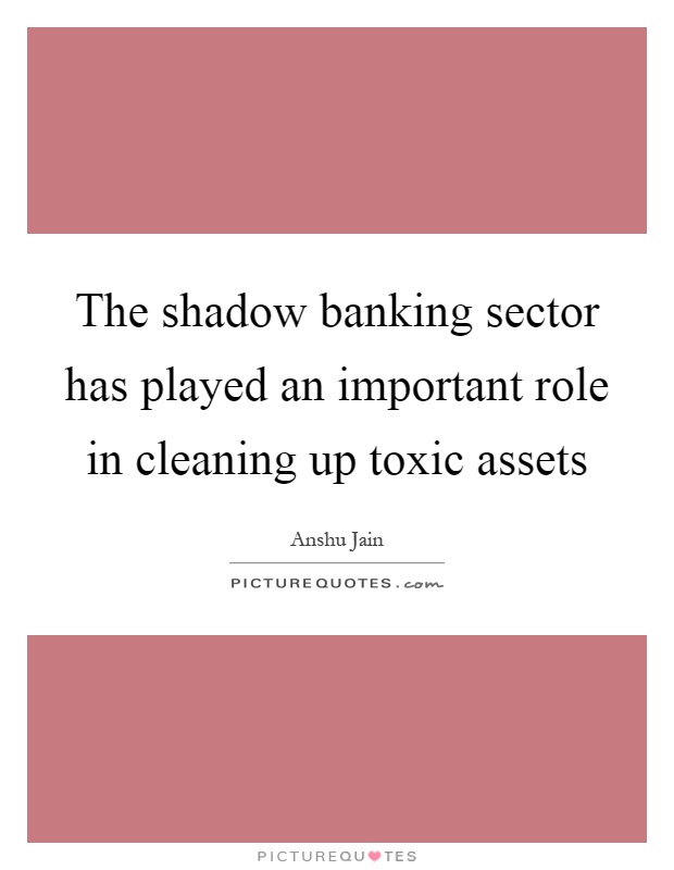 The shadow banking sector has played an important role in cleaning up toxic assets Picture Quote #1