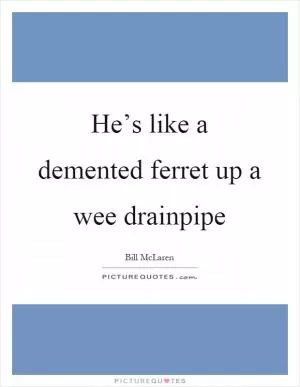 He’s like a demented ferret up a wee drainpipe Picture Quote #1