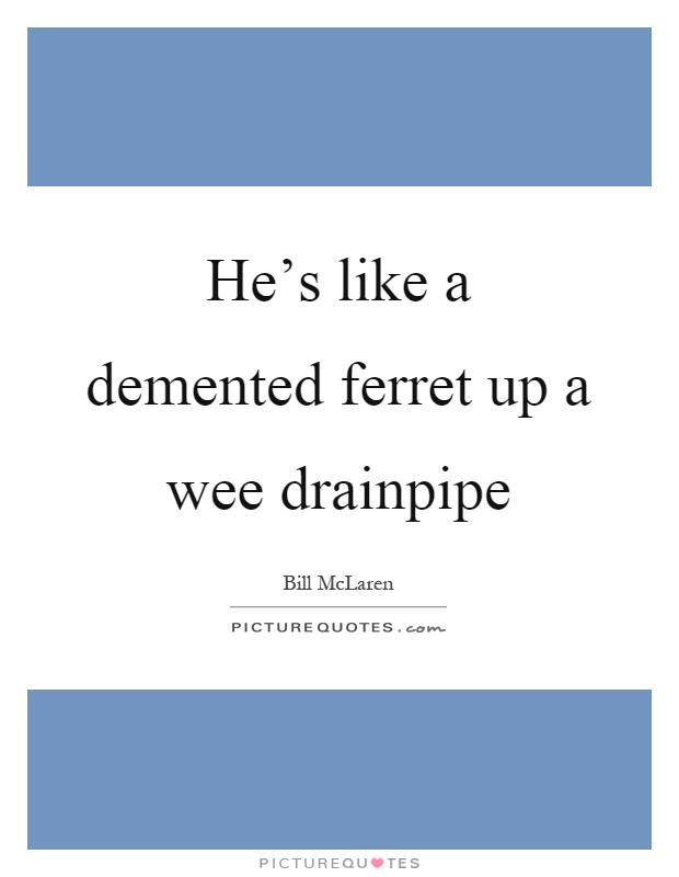 He's like a demented ferret up a wee drainpipe Picture Quote #1