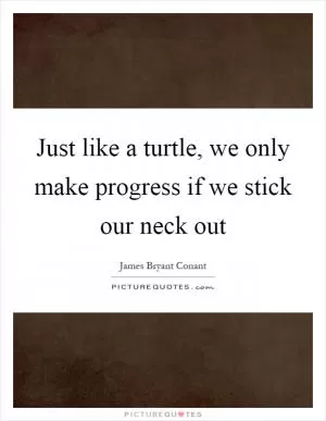 Just like a turtle, we only make progress if we stick our neck out Picture Quote #1
