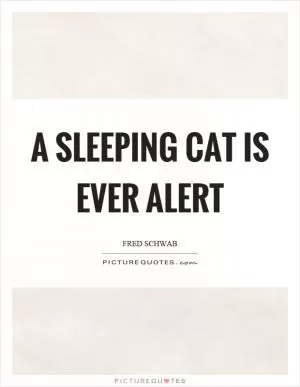 A sleeping cat is ever alert Picture Quote #1
