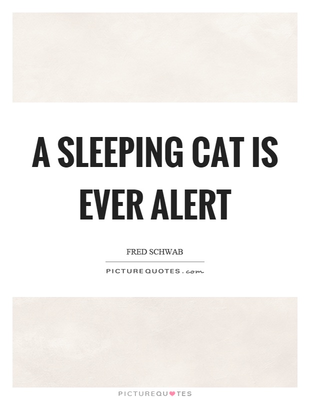 A sleeping cat is ever alert Picture Quote #1