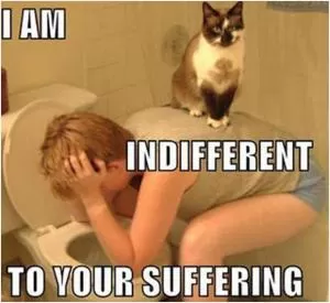 I am indifferent to your suffering Picture Quote #1