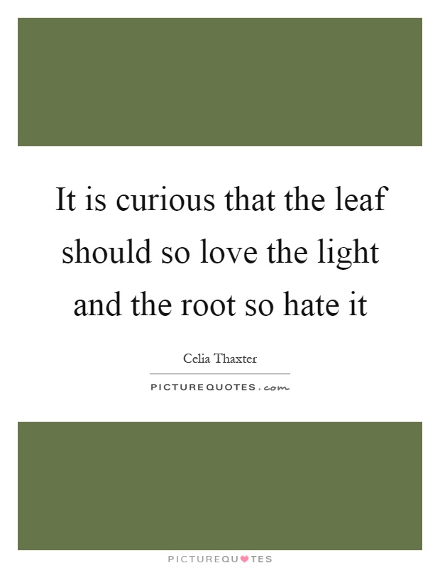 It is curious that the leaf should so love the light and the root so hate it Picture Quote #1