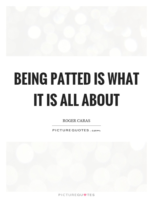 Being patted is what it is all about Picture Quote #1