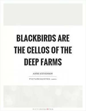 Blackbirds are the cellos of the deep farms Picture Quote #1